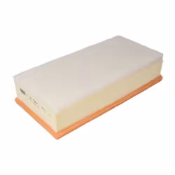 Filtre à air MANN-FILTER C 33 156/1