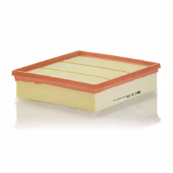 Filtre à air MANN-FILTER C 22 039