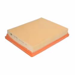 Filtre à air MANN-FILTER C 30 170