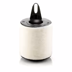 Filtre à air MANN-FILTER C 1361