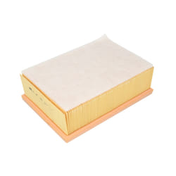 Filtre à air MANN-FILTER C 25 136