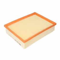 Filtre à air MANN-FILTER C 25 118/1