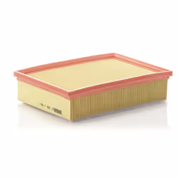 Filtre à air MANN-FILTER C 25 118/1
