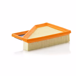 Filtre à air MANN-FILTER C 2245