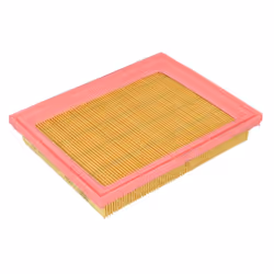 Filtre à air MANN-FILTER C 2244