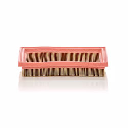Filtre à air MANN-FILTER C 2244