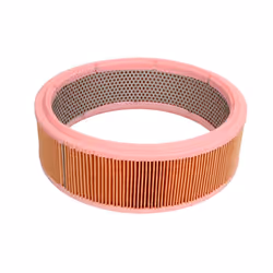 Filtre à air MANN-FILTER C 2651