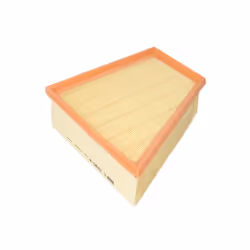 Filtre à air MANN-FILTER C 2295/4