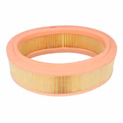 Filtre à air MANN-FILTER C 2672/1