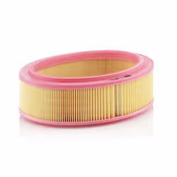 Filtre à air MANN-FILTER C 2672/1