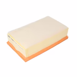 Filtre à air MANN-FILTER C 2485/1