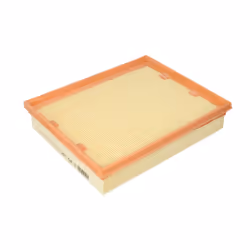 Filtre à air MANN-FILTER C 25 109