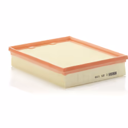 Filtre à air MANN-FILTER C 25 109