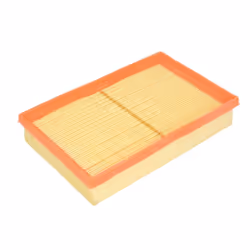 Filtre à air MANN-FILTER C 2448
