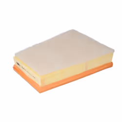 Filtre à air MANN-FILTER C 2510/1
