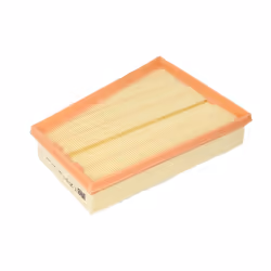Filtre à air MANN-FILTER C 2510/1