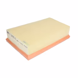 Filtre à air MANN-FILTER C 2433/2