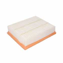 Filtre à air MANN-FILTER C 2548
