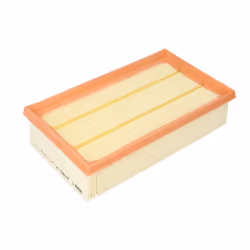 Filtre à air MANN-FILTER C 2485/2