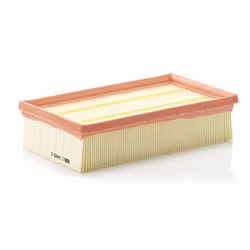 Filtre à air MANN-FILTER C 2485/2