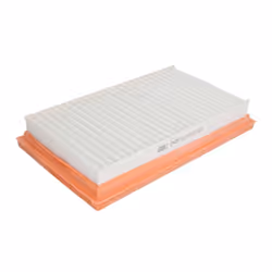 Filtre à air MANN-FILTER C 2420