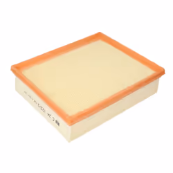 Filtre à air MANN-FILTER C 24 123/2