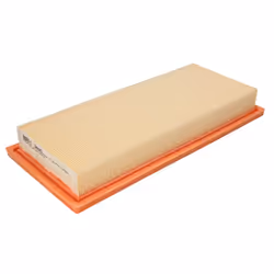 Filtre à air MANN-FILTER C 3495