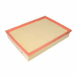 Filtre à air MANN-FILTER C 4312/1