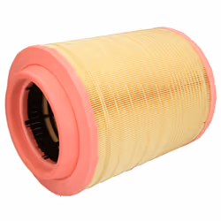 Filtre à air MANN-FILTER C 25 660/2