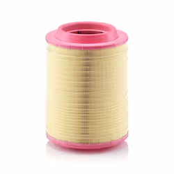 Filtre à air MANN-FILTER C 25 660/2