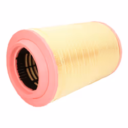 Filtre à air MANN-FILTER C 25 860/6