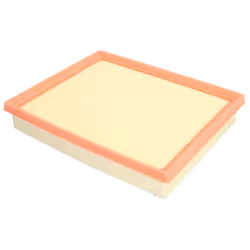 Filtre à air MANN-FILTER C 24 078