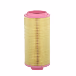 Filtre à air MANN-FILTER C 25 024/1