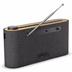 Loewe Radio. Frequency Portable Numérique Gris, Bois