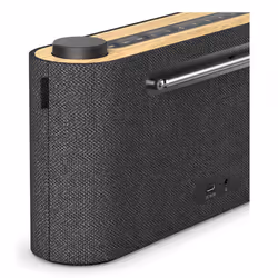 Loewe Radio. Frequency Portable Numérique Gris, Bois