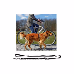 TRIXIE 1282, Chien, Laisse mains-libres, Noir, Ruban, Nylon, 2 m