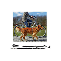 TRIXIE 1282 laisse pour chiens et chats 2 m Noir Nylon Chien Laisse mains-libres
