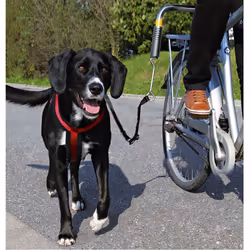 TRIXIE 1287, Chien, Laisse mains-libres, Noir, Argent, Ruban
