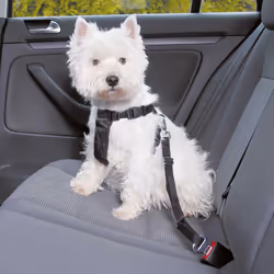 TRIXIE 1288, Chien, XS, Noir
