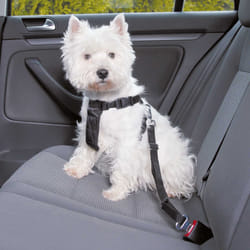 TRIXIE 1288 harnais pour chiens et chats XS Noir Chien