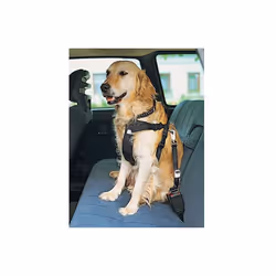 Harnais de sécurité auto pour chien. Entièrement réglable, fabriqué en nylon, très confortable. livré avec la laisse de sécur ...