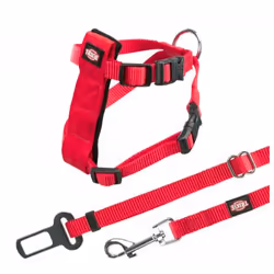 TRIXIE 4011905012940, Chat, Rouge, Monochromatique, 50 cm, 20 cm, 1,5 cm