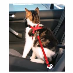 TRIXIE 4011905012940 harnais pour chiens et chats Rouge Chat