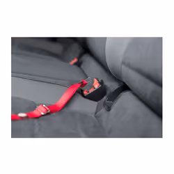 TRIXIE 4011905012940 harnais pour chiens et chats Rouge Chat - Vue supplémentaire 4