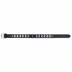 TRIXIE Active Collier, avec design stylisé, Chien, Noir, Argent, Cuir, Monochromatique, L-XL, 55 cm
