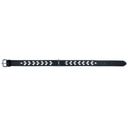TRIXIE Active Collier, avec design stylisé