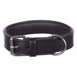 TRIXIE 1850, Chien, Collier standard, Noir, Cuir, Monochromatique, Extra large