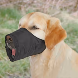 TRIXIE 1924, Chien, Muselière en nylon, L, Noir, Monochromatique, Polyester