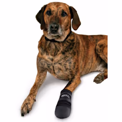TRIXIE Bottes de protection Walker Care - Vue supplémentaire 4