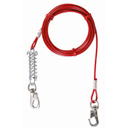 TRIXIE 2291 laisse pour chiens et chats 5 m Chien